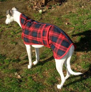 Greta's coat